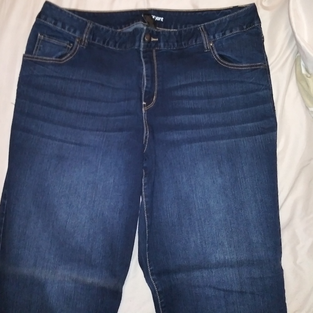 Lane Bryant skinny jeans